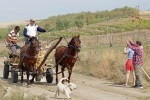 Paard en wagen: hét transportmiddel