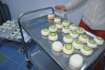 De productie van geitenkaasjes loopt gesmeerd