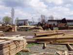 Van boomstam tot balk en plank